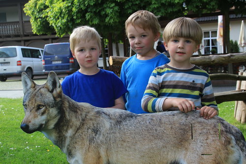 GWN-Tagung 2016 im Wolfsgebiet Lausitz