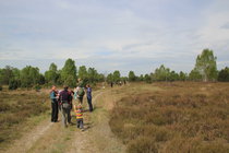 Exkursion in der Glücksburger Heide